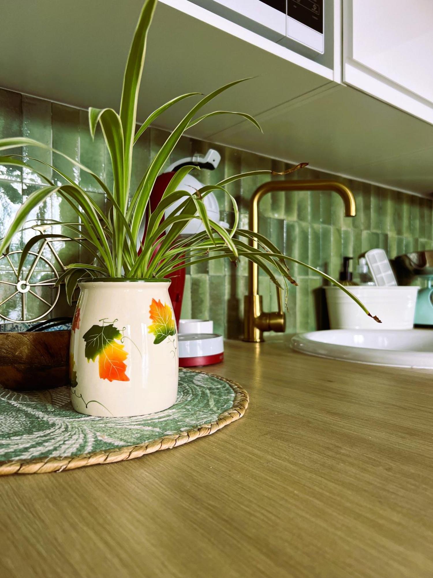 Appartement Nid Douillet Mers-les-Bains Ngoại thất bức ảnh